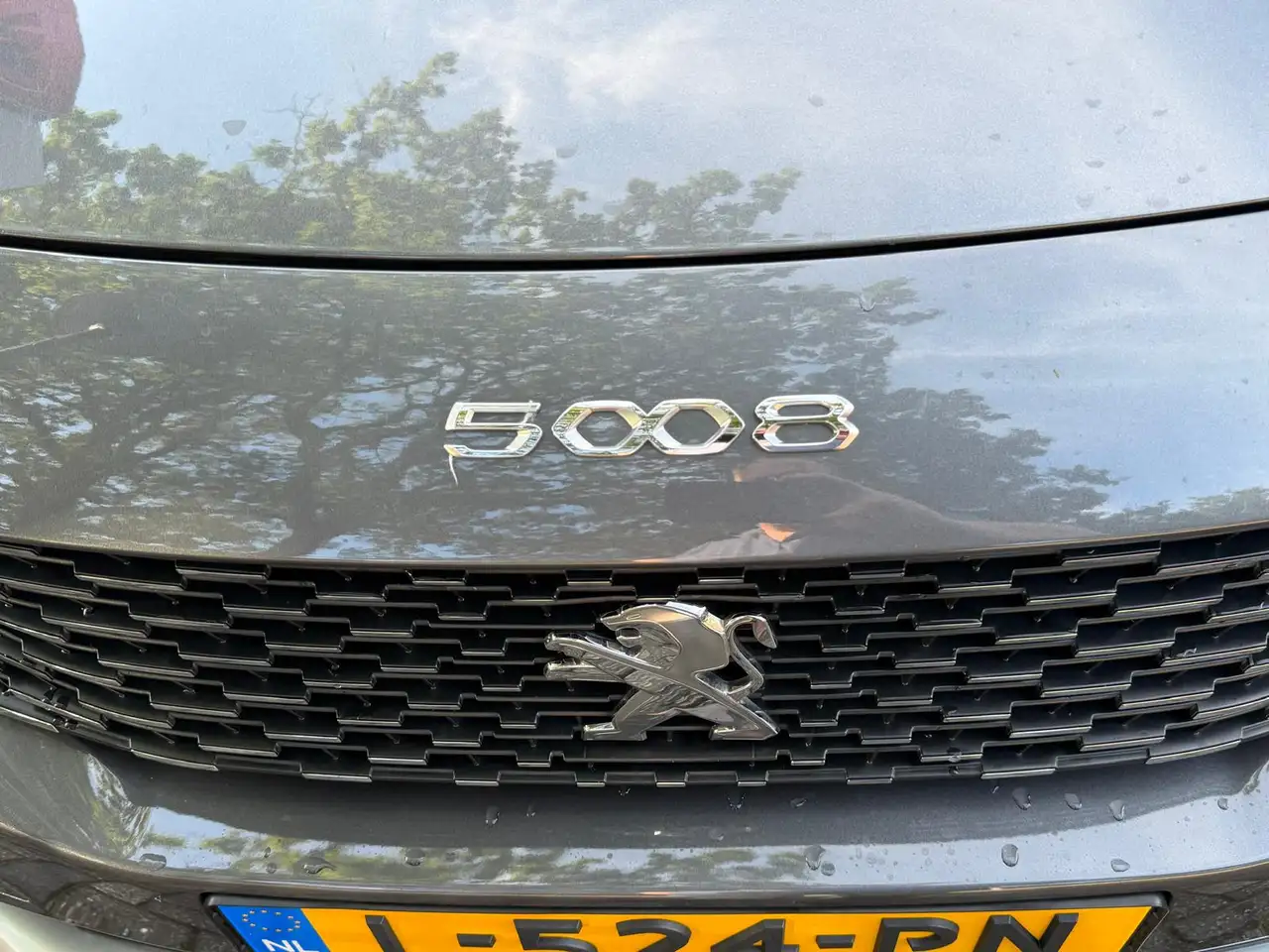 Peugeot 5008 1.2 PureTech Blue Lease Allure, миниатюра 10