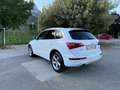 Audi Q5 Q5 2.0 TDI 170 CV quattro S tronic Advanced Plus Bianco - thumbnail 5