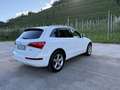 Audi Q5 Q5 2.0 TDI 170 CV quattro S tronic Advanced Plus Bianco - thumbnail 6