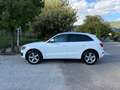 Audi Q5 Q5 2.0 TDI 170 CV quattro S tronic Advanced Plus Bianco - thumbnail 8
