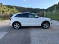 Audi Q5 Q5 2.0 TDI 170 CV quattro S tronic Advanced Plus Bianco - thumbnail 7