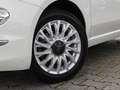 Fiat 500 1.2 Lounge NAVI PDC PANO LM BT USB eFH Alb - thumbnail 10