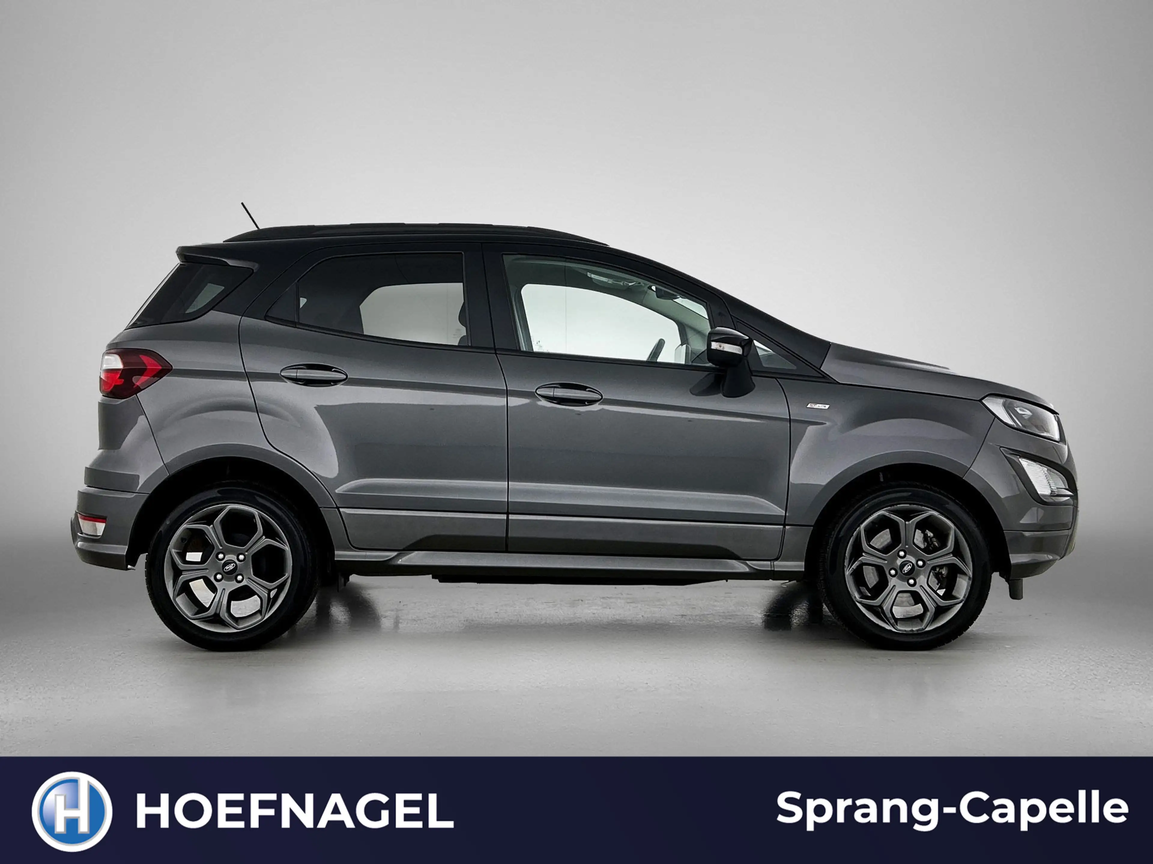 Ford EcoSport 1.0 EcoBoost ST-Line | Stoel-/Stuurverwarming | Cr — photo 9