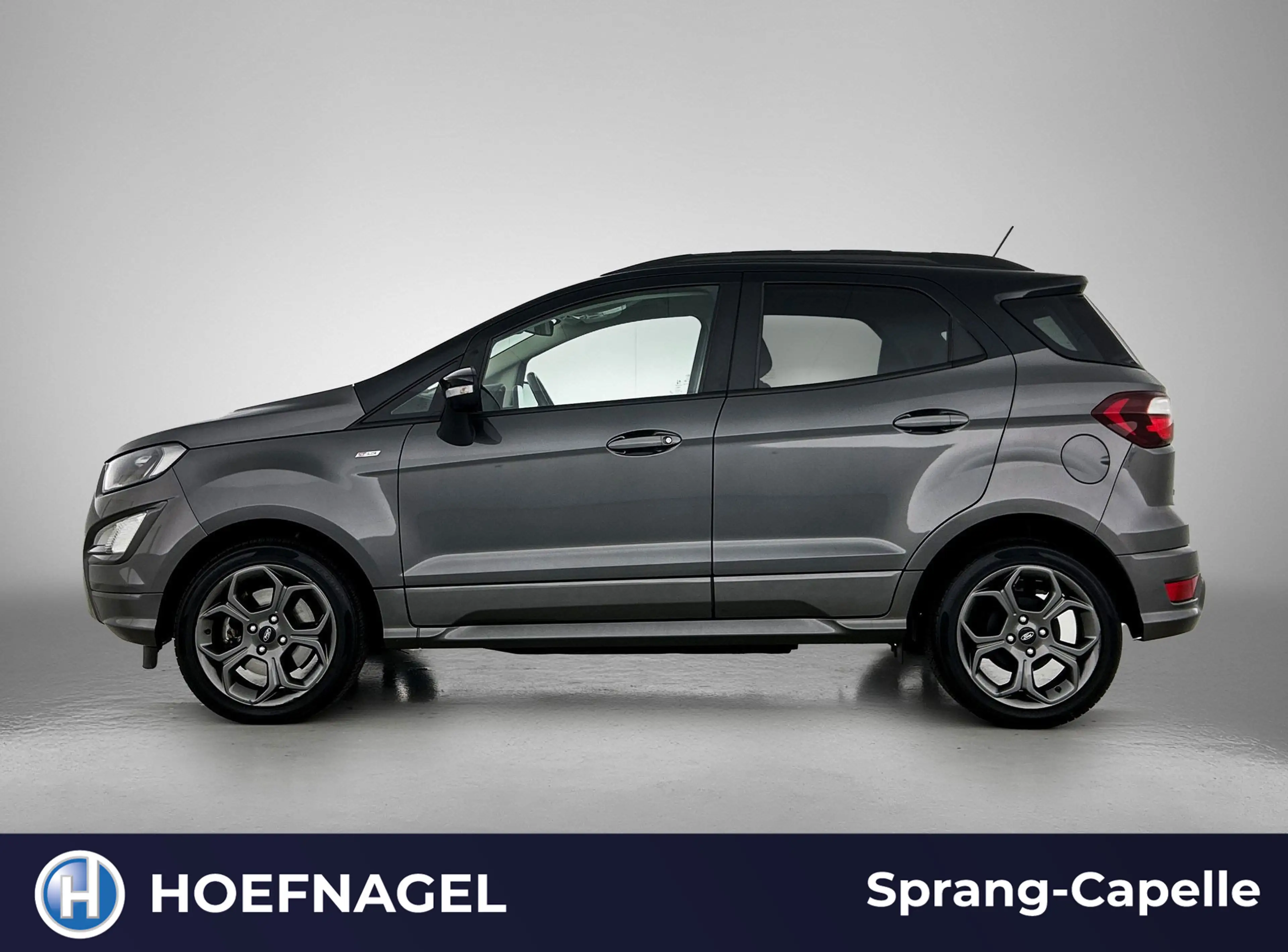 Ford EcoSport 1.0 EcoBoost ST-Line | Stoel-/Stuurverwarming | Cr — photo 3