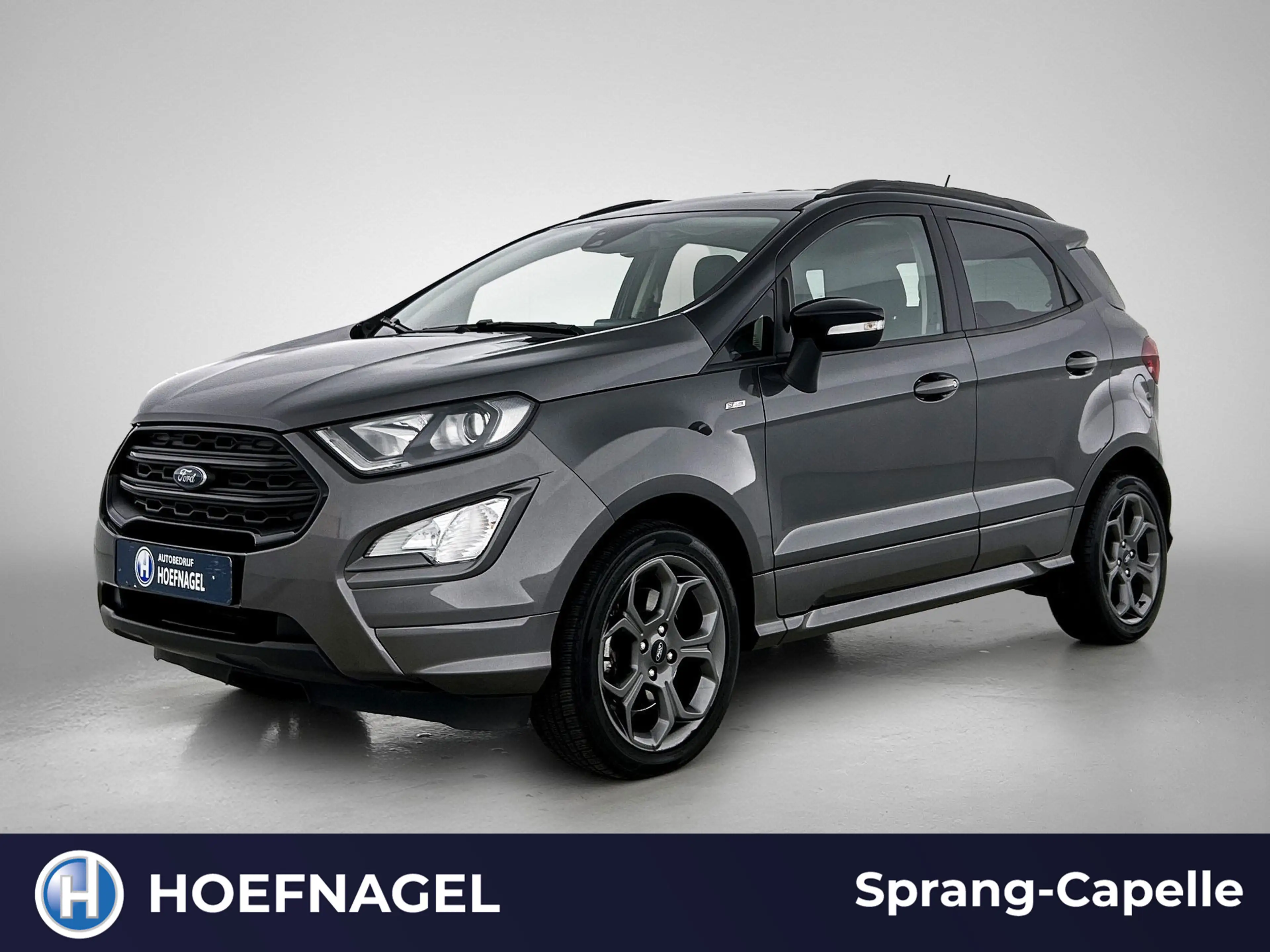 Ford EcoSport 1.0 EcoBoost ST-Line | Stoel-/Stuurverwarming | Cr