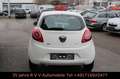Ford Ka/Ka+ Trend 1.2 , Allwetterreifen, TÜV neu Blanc - thumbnail 5