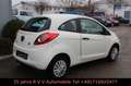 Ford Ka/Ka+ Trend 1.2 , Allwetterreifen, TÜV neu Blanc - thumbnail 4