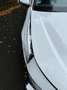 Audi A5 Limousine TFSI 150kW quattro Blanc - thumbnail 12