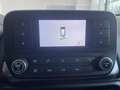 Ford EcoSport EcoSport 1.0 ecoboost Business 100cv my19 Grijs - thumbnail 18