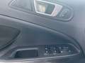 Ford EcoSport EcoSport 1.0 ecoboost Business 100cv my19 Grijs - thumbnail 8