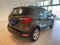 Ford EcoSport EcoSport 1.0 ecoboost Business 100cv my19 Grijs - thumbnail 5