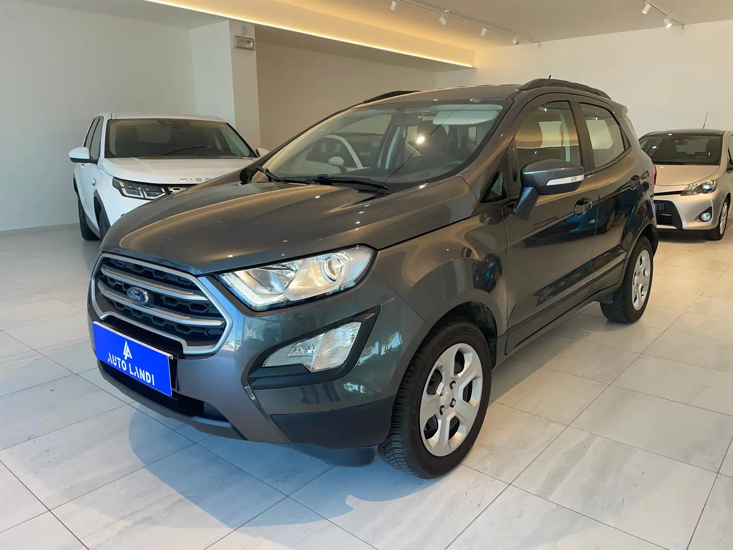 Ford EcoSport EcoSport 1.0 ecoboost Business 100cv my19 Grijs - 1