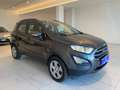 Ford EcoSport EcoSport 1.0 ecoboost Business 100cv my19 Grijs - thumbnail 2