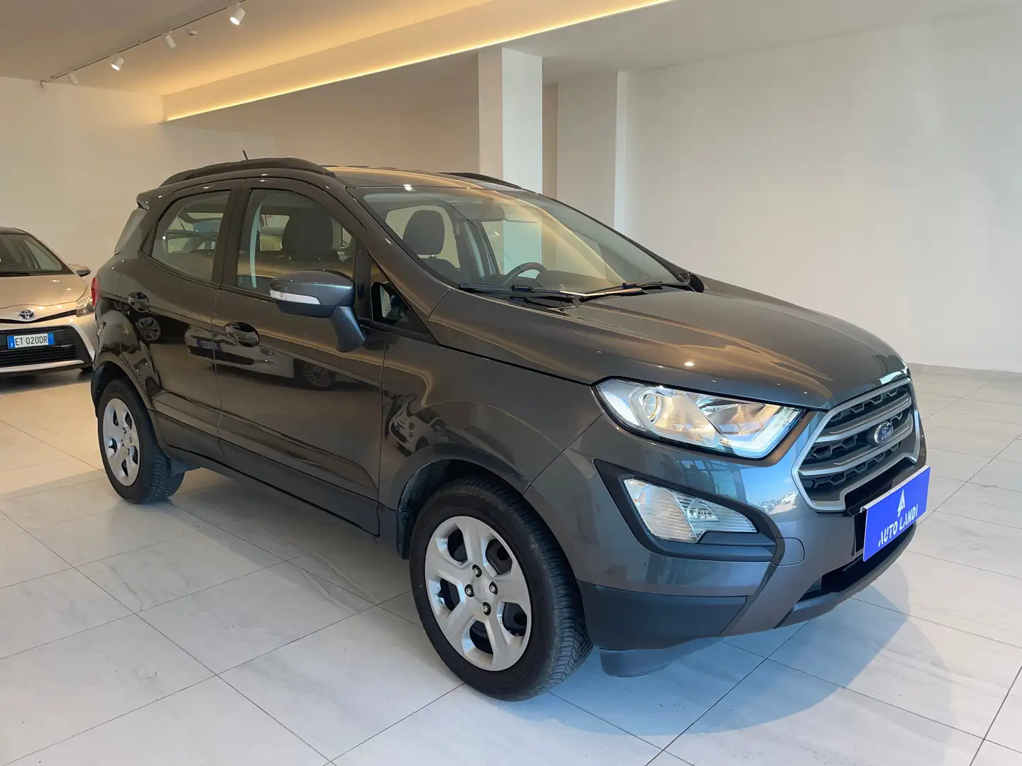 Ford EcoSport EcoSport 1.0 ecoboost Business 100cv my19 Grijs - 2