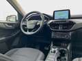 Ford Kuga 2.5 Hybrid Benzin Titanium Automatik Navi Wit - thumbnail 11
