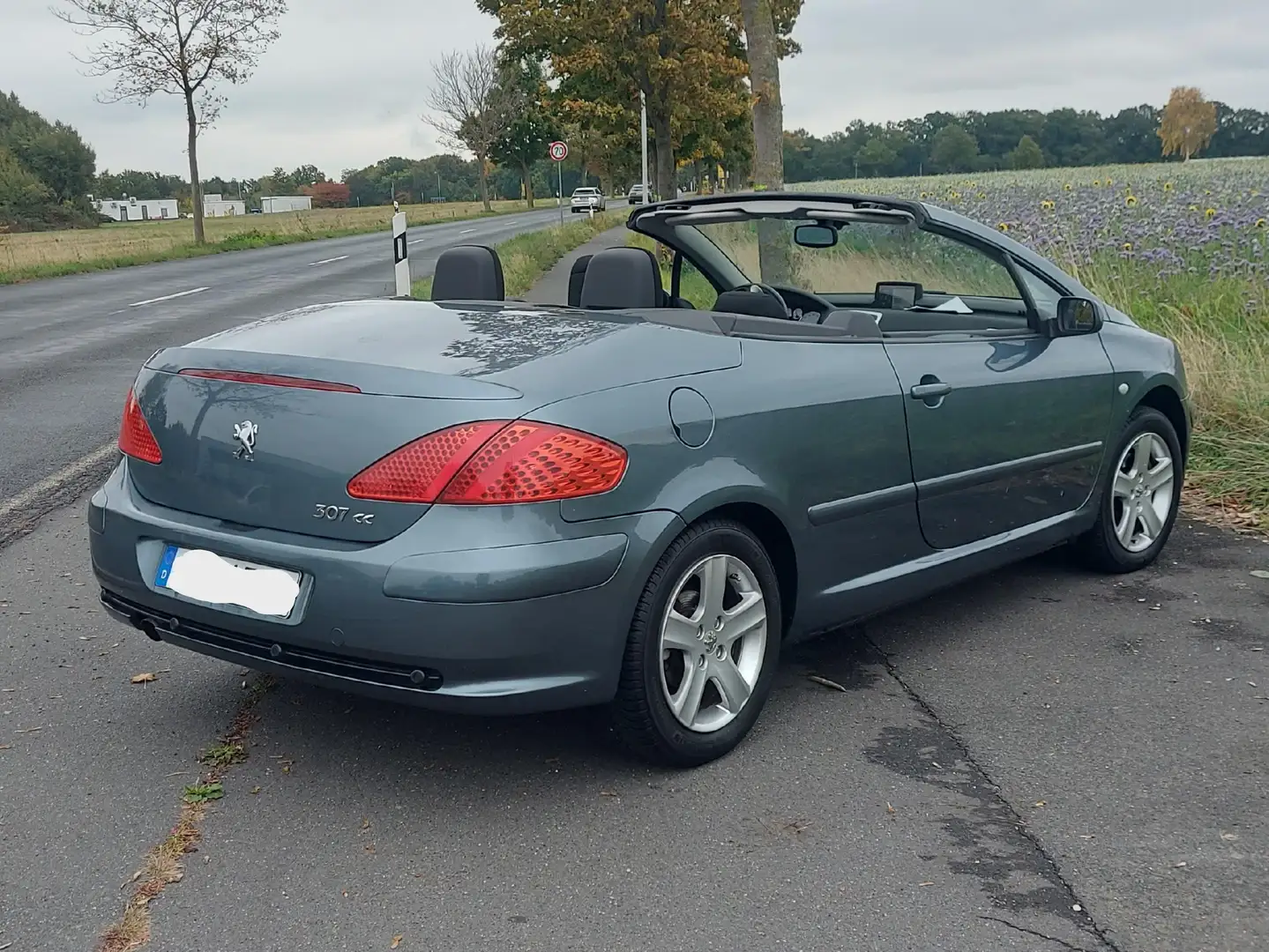 Peugeot 307 307 CC 135 Grau - 1