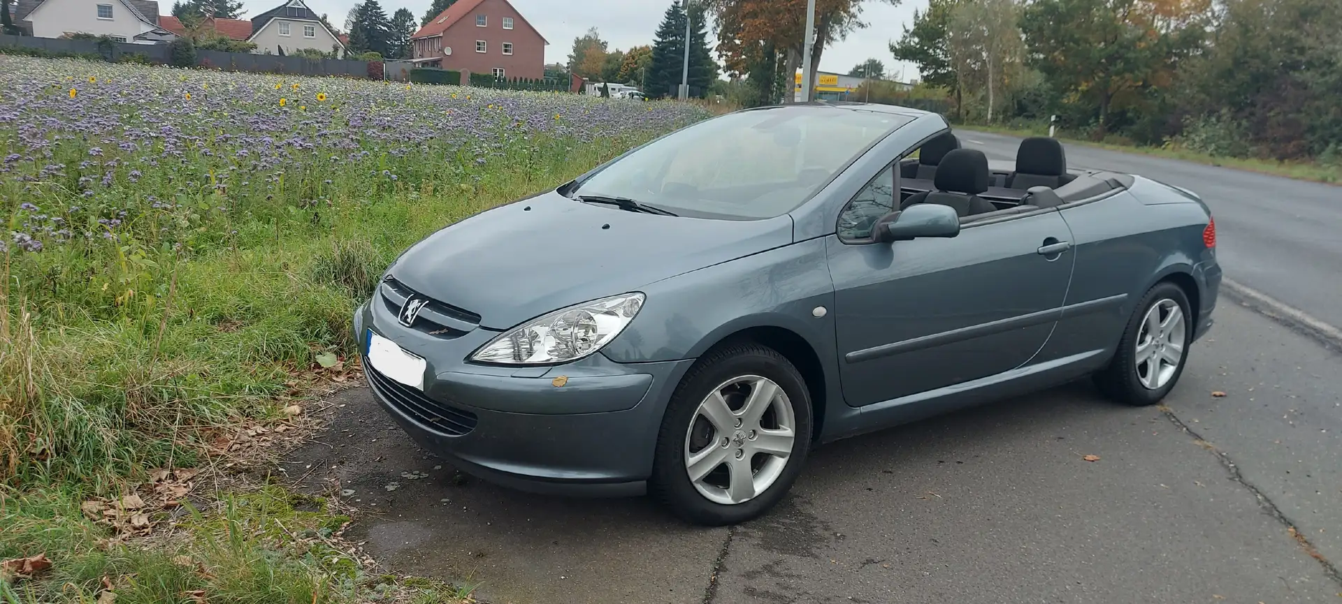 Peugeot 307 307 CC 135 Grau - 2