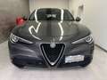 Alfa Romeo Stelvio Stelvio 2.2 t Rosso Edizione rwd 160cv auto Grigio - thumbnail 2