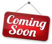 Skoda Karoq Karoq 2017 2.0 tdi evo Executive 115cv dsg Gris - thumbnail 16