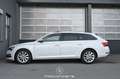 Skoda Superb 2.0 TDI Style Pickerl NEU Weiß - thumbnail 6