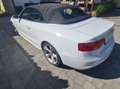 Audi A5 Cabriolet 3.0 TDi V6 Quattro Clean Diesel S tronic - thumbnail 7
