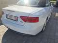 Audi A5 Cabriolet 3.0 TDi V6 Quattro Clean Diesel S tronic - thumbnail 2