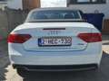 Audi A5 Cabriolet 3.0 TDi V6 Quattro Clean Diesel S tronic - thumbnail 4