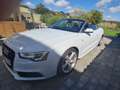 Audi A5 Cabriolet 3.0 TDi V6 Quattro Clean Diesel S tronic - thumbnail 10