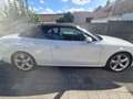 Audi A5 Cabriolet 3.0 TDi V6 Quattro Clean Diesel S tronic - thumbnail 8