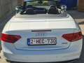 Audi A5 Cabriolet 3.0 TDi V6 Quattro Clean Diesel S tronic - thumbnail 11