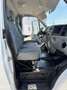 Ford Transit Ford Transit Maxi 350 mit wenig KM nu 49,500 - thumbnail 12