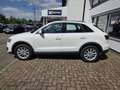 Audi Q3 2.0 TDI quattro Weiß - thumbnail 2