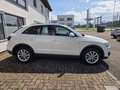 Audi Q3 2.0 TDI quattro Weiß - thumbnail 4