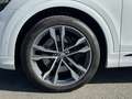 Audi SQ8 SUV 4.0 TDI qu.MATRIX-LED PANO AHK LEDER Weiß - thumbnail 8