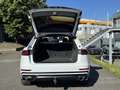 Audi SQ8 SUV 4.0 TDI qu.MATRIX-LED PANO AHK LEDER Weiß - thumbnail 6