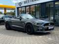 Ford Mustang GT Convertible/5.0/NAVI/SHZ/NAVI/LED/V8 Grigio - thumbnail 4