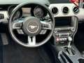 Ford Mustang GT Convertible/5.0/NAVI/SHZ/NAVI/LED/V8 Grigio - thumbnail 7