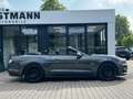 Ford Mustang GT Convertible/5.0/NAVI/SHZ/NAVI/LED/V8 Grigio - thumbnail 5