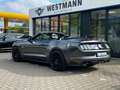 Ford Mustang GT Convertible/5.0/NAVI/SHZ/NAVI/LED/V8 Grigio - thumbnail 3