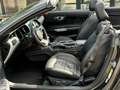 Ford Mustang GT Convertible/5.0/NAVI/SHZ/NAVI/LED/V8 Grigio - thumbnail 10