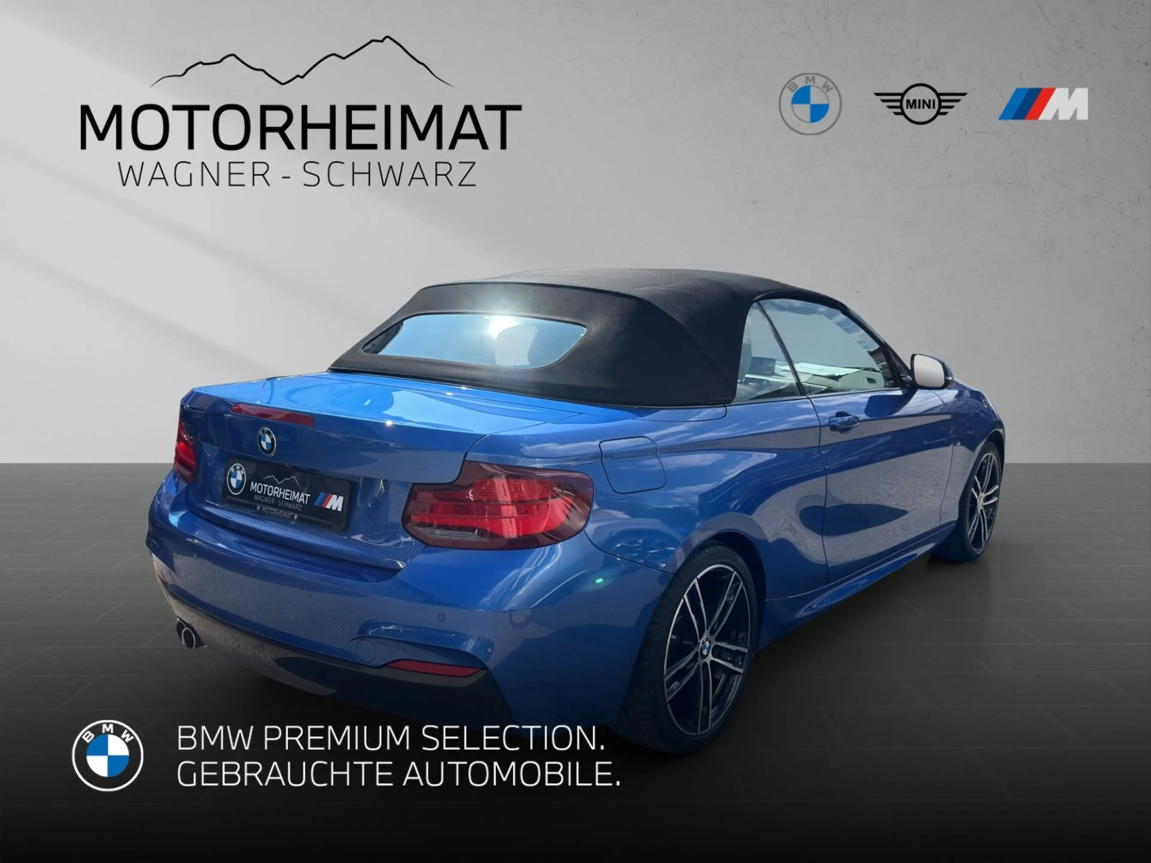 BMW 220 d Cabrio Aut M Sport RFK Leder ACC HiFI — photo 8