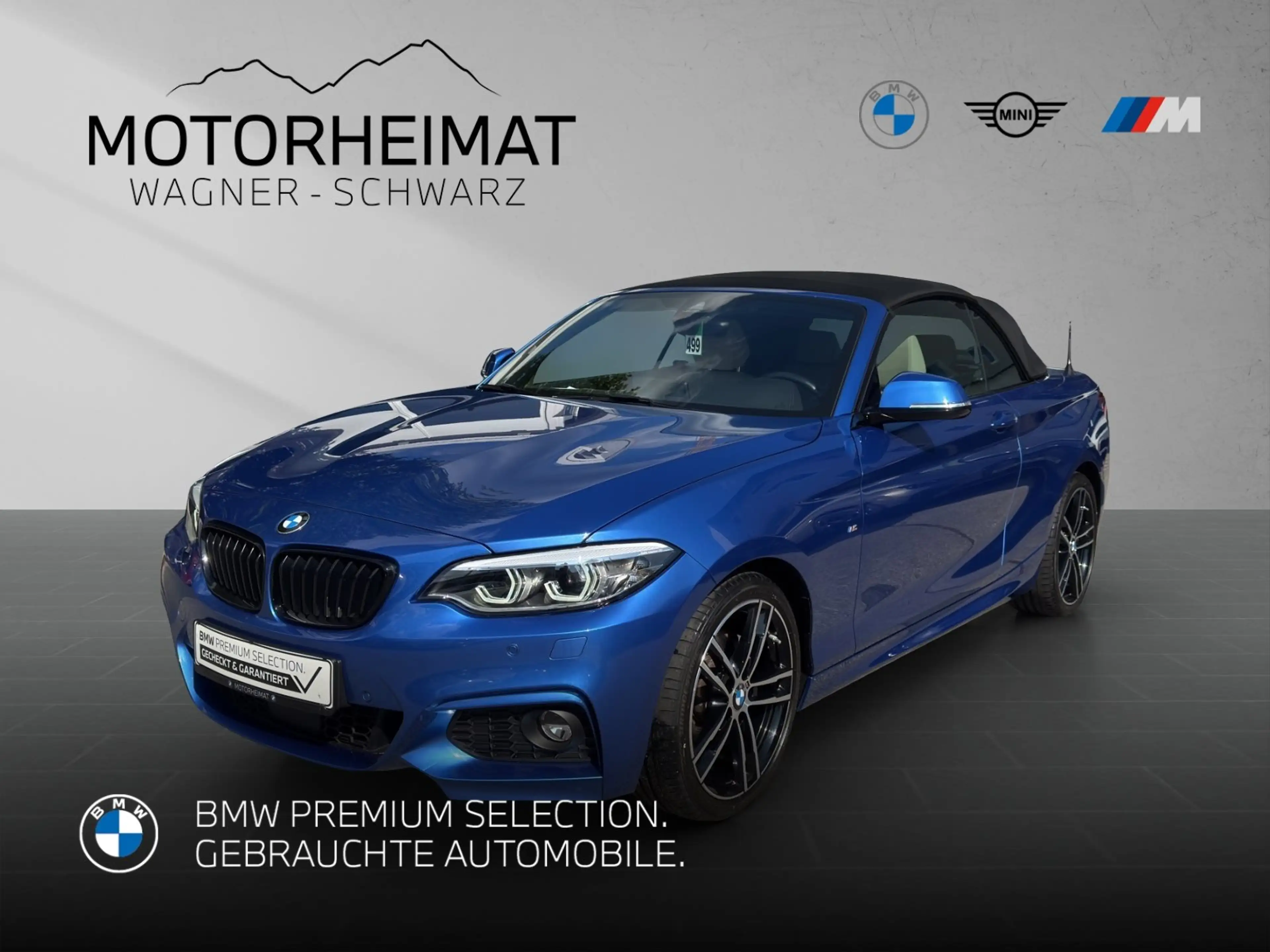 BMW 220 d Cabrio Aut M Sport RFK Leder ACC HiFI