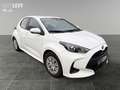 Toyota Yaris 1.5 Comfort ACC AUT Fernlichtass. Kam. Weiß - thumbnail 8