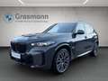 BMW X5 X5 xDrive40i Grau - thumbnail 1