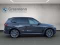 BMW X5 X5 xDrive40i Grau - thumbnail 6