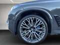 BMW X5 X5 xDrive40i Grau - thumbnail 17