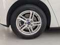 Ford Focus 1.5Ecoblue Trend+ 95 Blanco - thumbnail 7