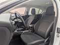 Ford Focus 1.5Ecoblue Trend+ 95 Blanco - thumbnail 3