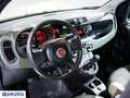 Fiat Panda Panda 0.9 Climbing Turbo S&S 4x4 - "PREZZO VERO" Vert - thumbnail 10