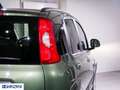 Fiat Panda Panda 0.9 Climbing Turbo S&S 4x4 - "PREZZO VERO" Vert - thumbnail 18